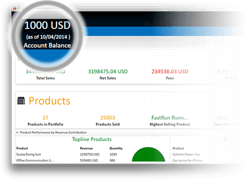 PayPal Account Balance